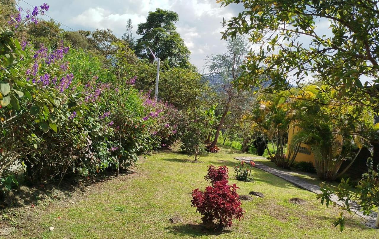 Jardin Utopia Buitenkant foto